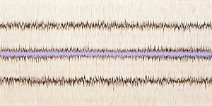 Из серии «Линии», 2010