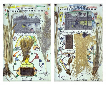 Диптих "Растительность и торф верхнего и низинного типа болот", 1995