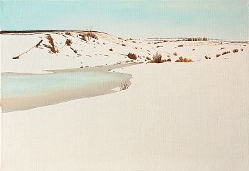 «Зима в степи», 2012