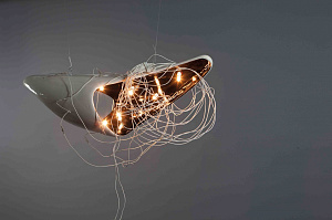  — «Controlled shark», 2010