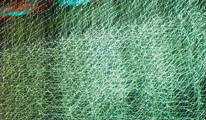  — Из серии «Supersonic», 2007