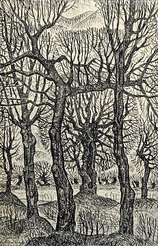 «Из жизни деревьев», 1975