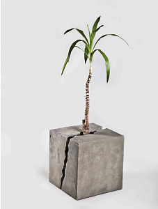  — Бетонный куб, 2010