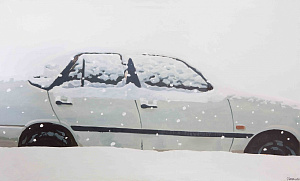 Из серии «Подснежники», 2007