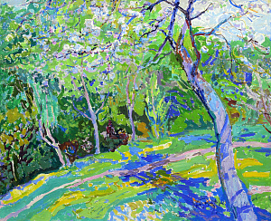  — «Весна», 1970-е