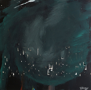 «Крым» из серии «Дроновые картины», 2024