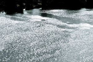  — Из серии «Сияющее озеро», 2009