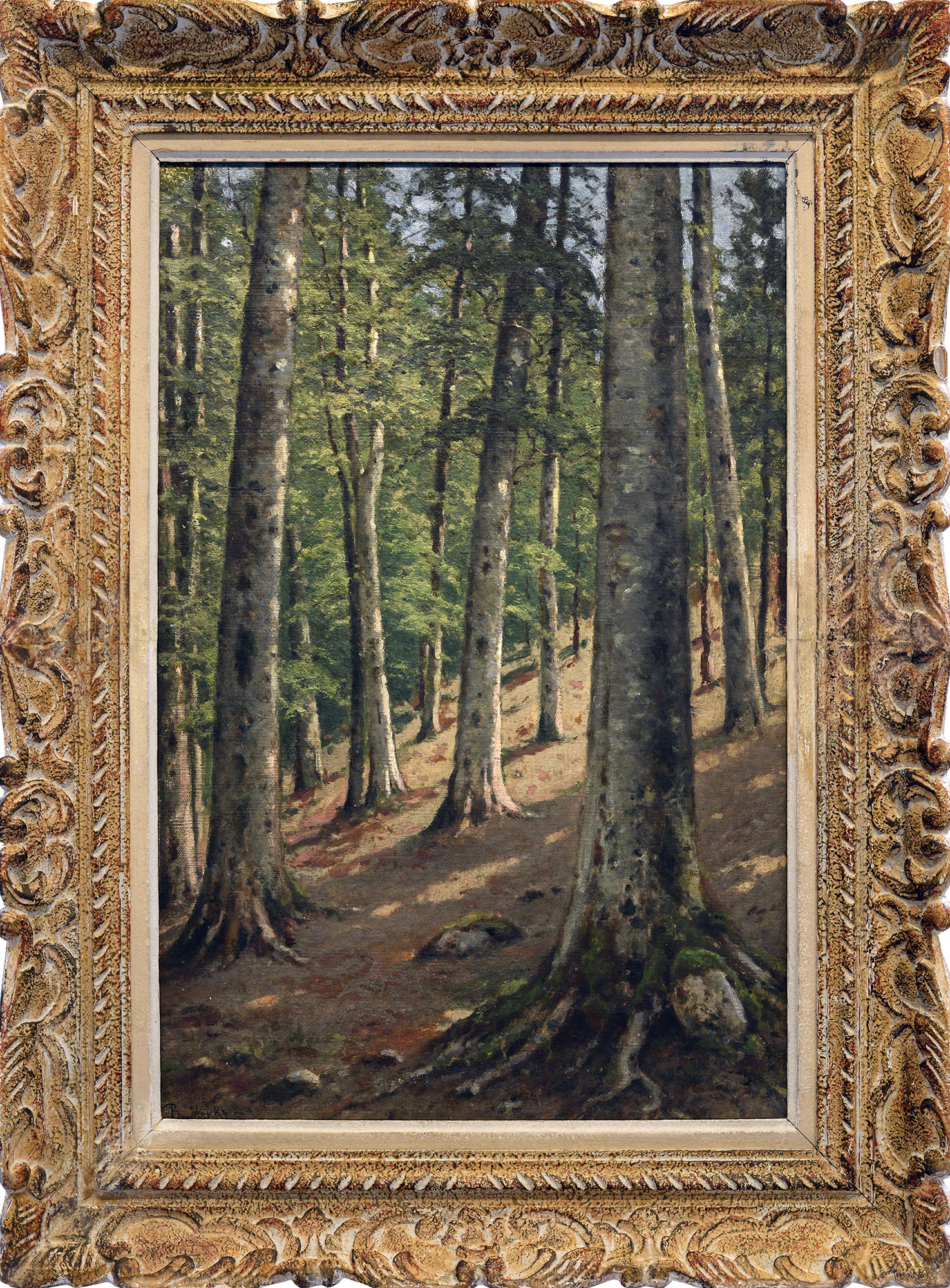 «Сосновый бор», 1900-е - 2