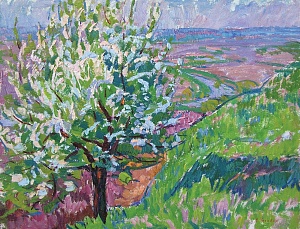  — «Весна», 1970-е