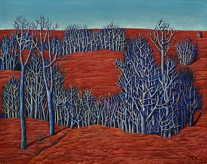 «Красная планета», 1973