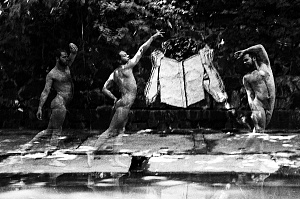 Из проекта "Желание, Желание", 2009