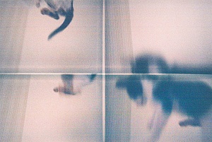  — "Ощущение разорванной целостности", 2010