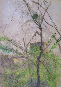 «Акация», 2004