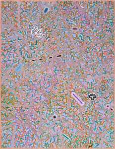 "Воздух 10", 2017