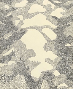  — «Бело кругом. Закарпатье», 1973