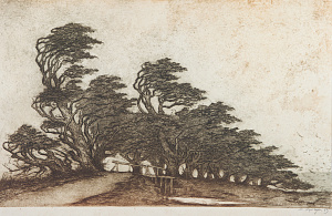 «Ветер», 1963