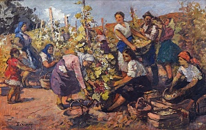 «Сбор винограда», 1950-е