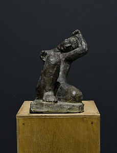 «Адам», 2009