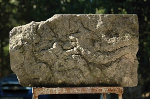 Из проекта «Пастбище», 1994