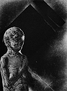 «Портрет ХІІІ»